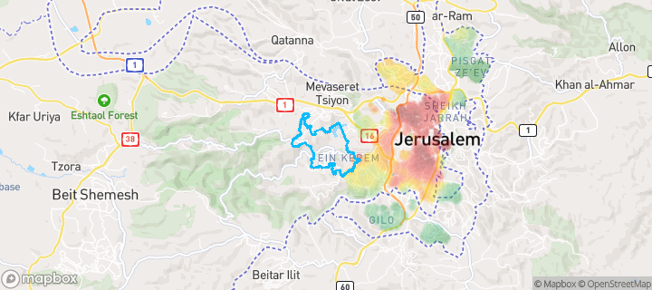 מפת חום של מחירי הנדל"ן בשכונת בית חולים הדסה עין כרם, ירושלים — אזורים יקרים בגווני חם, אזורים זולים בגווני קר