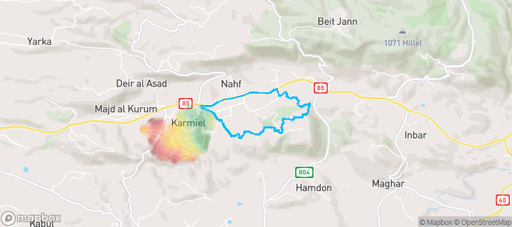 מפת חום של מחירי הנדל"ן בשכונת אזור תעשׂייה, כרמיאל — אזורים יקרים בגווני חם, אזורים זולים בגווני קר
