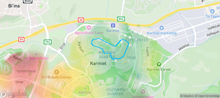 מפת חום של מחירי הנדל"ן בשכונת מגדים, כרמיאל — אזורים יקרים בגווני חם, אזורים זולים בגווני קר